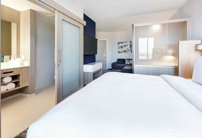 Люкс, Springhill Suites By Marriott Dallas Mansfield