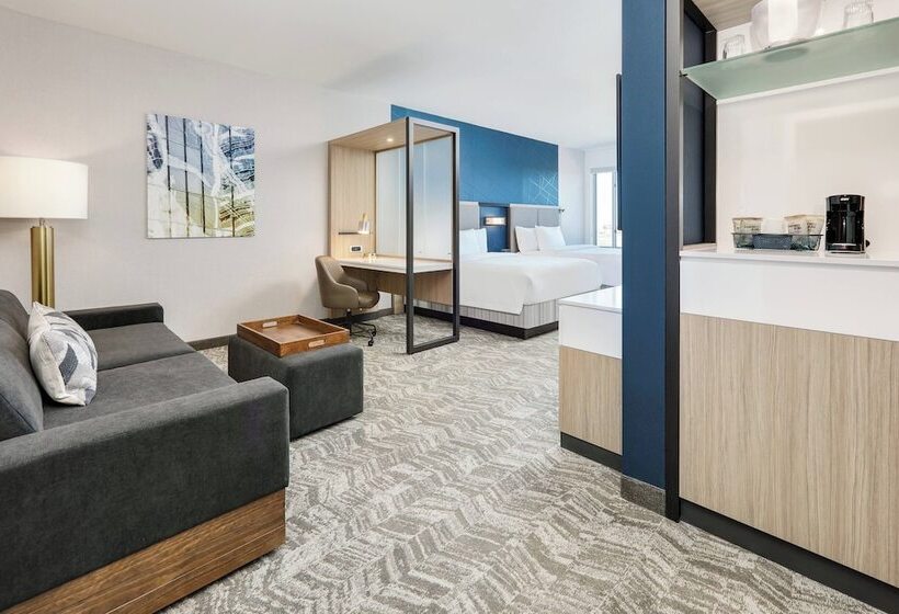 Люкс, Springhill Suites By Marriott Dallas Mansfield