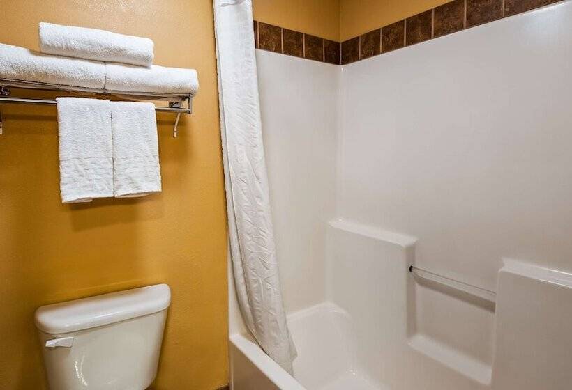 Апартаменты 1 Спальня, Best Western Sawtooth Inn And Suites