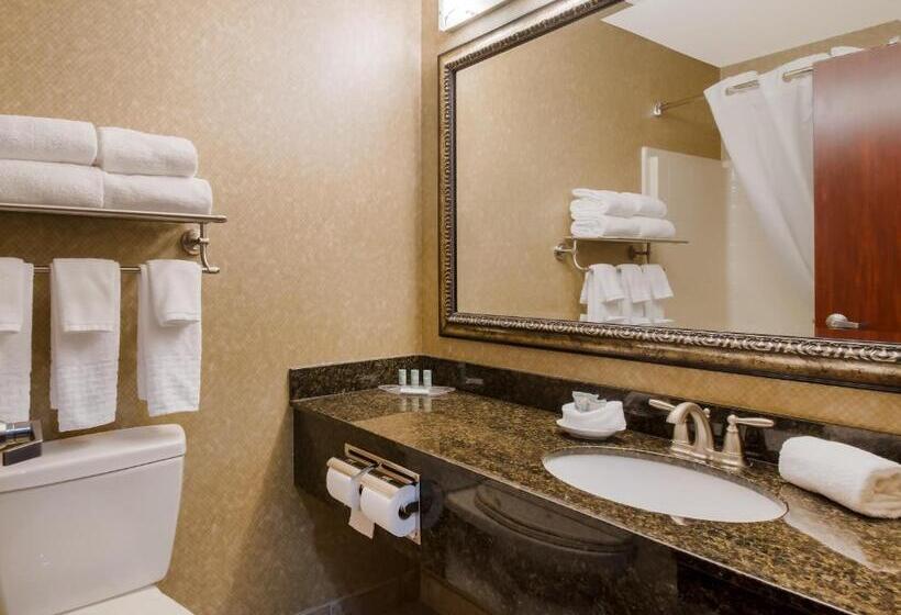 Стандартный Номер Кровать Кинг, Best Western University Inn And Suites