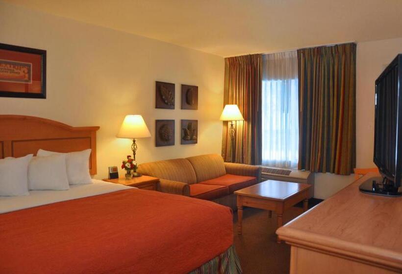 스탠다드 룸 킹사이즈 침대, Cimarron Inn Klamath Falls