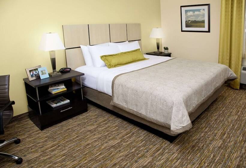 Suíte para Deficientes Físicos, Sonesta Simply Suites Fort Worth