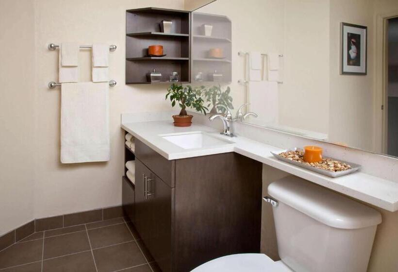 Suite Aangepast voor Gehandicapten, Sonesta Simply Suites Fort Worth