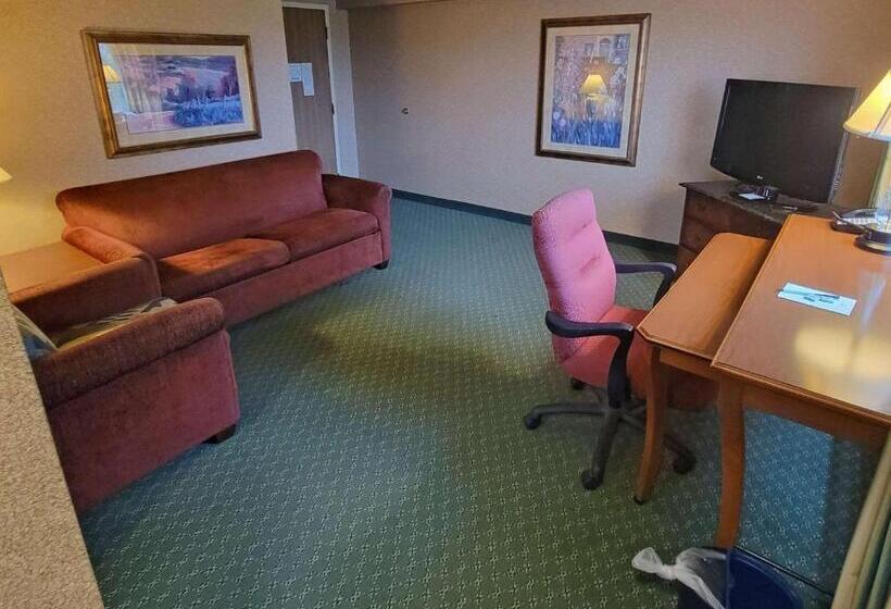 Люкс, Radisson Hotel Cedar Rapids