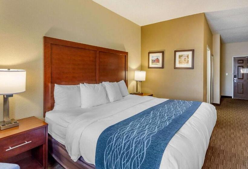 Standard Værelse King Size Seng, Comfort Inn Rockford Near Casino District