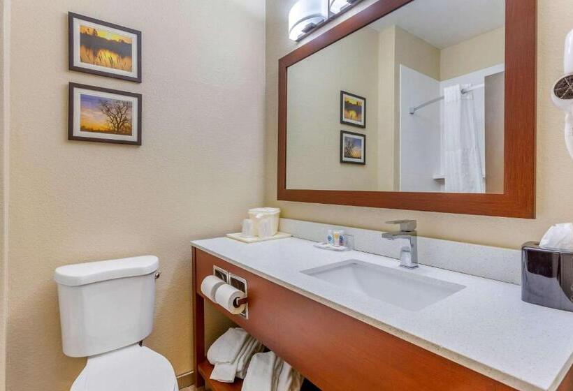 Standard Værelse, Comfort Inn Rockford Near Casino District