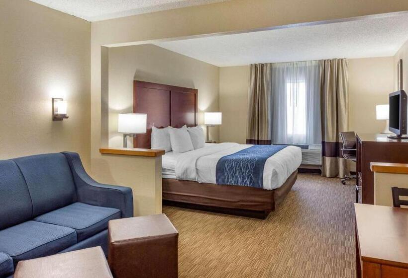 Suite King Size Seng, Comfort Inn Rockford Near Casino District