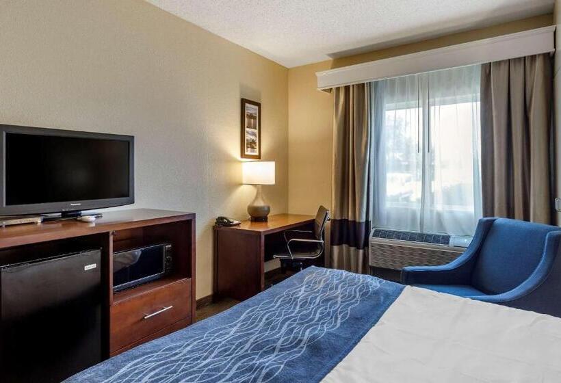 Standard Værelse Tilpasset til Handicappede, Comfort Inn Rockford Near Casino District