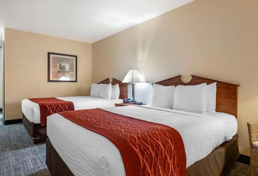 Номер Стандарт, Surestay Plus Hotel By Best Western Buffalo