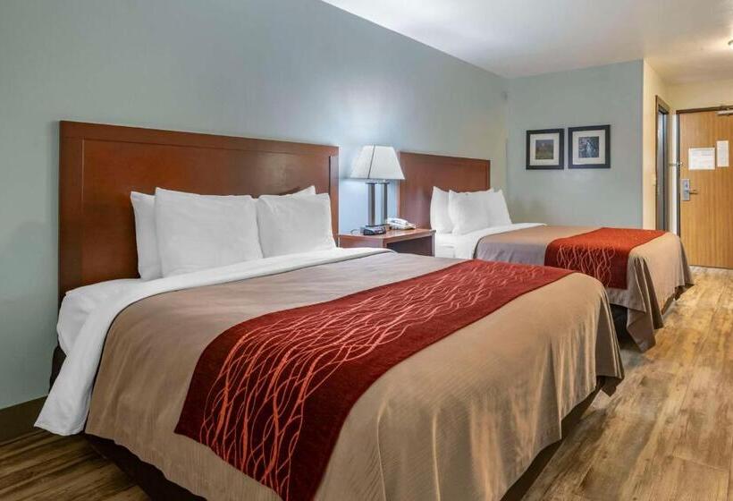 Номер Стандарт, Surestay Plus Hotel By Best Western Buffalo