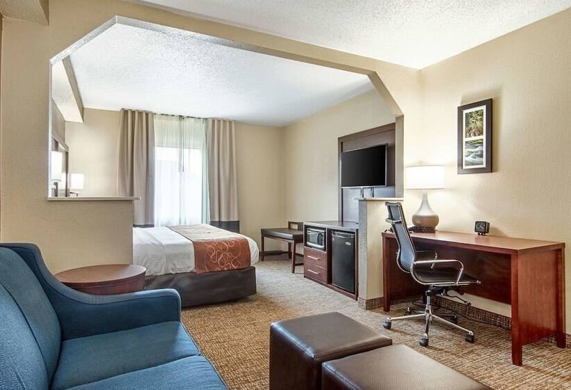套房, Comfort Suites Knoxville Airport