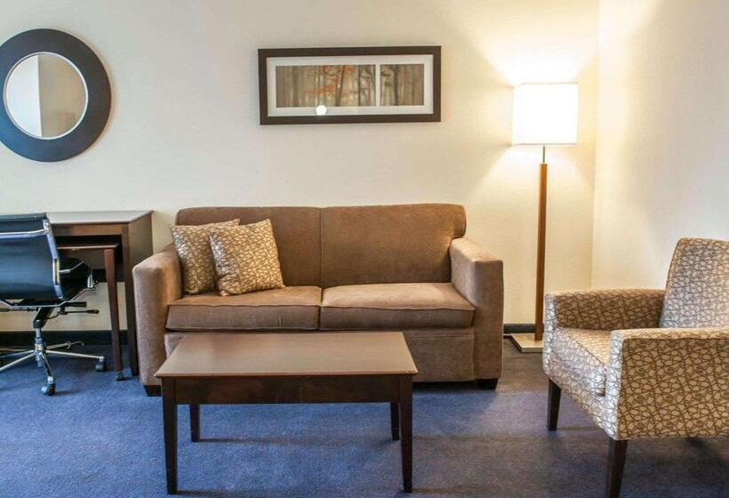Suite, Comfort Suites Fort Wayne   Southwest
