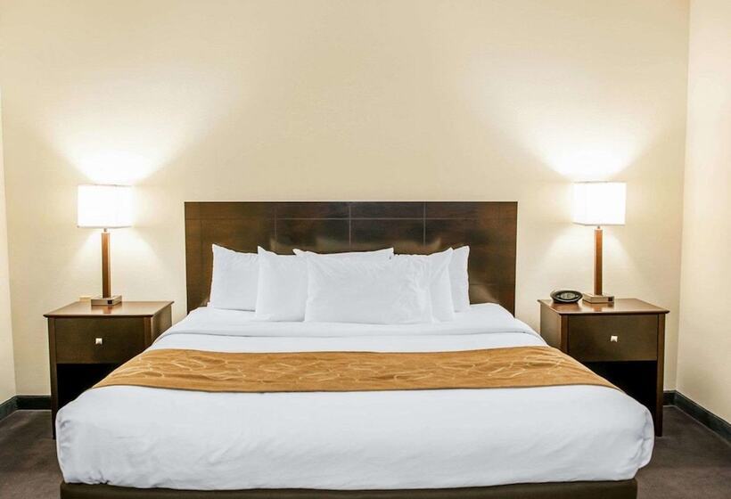 Suite, Comfort Suites Fort Wayne   Southwest