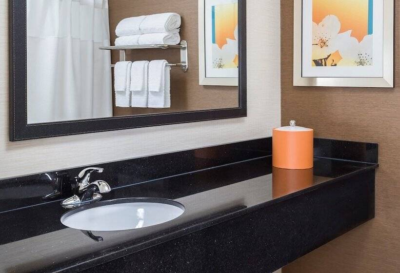 סוויטה אקזקיוטיב, Fairfield Inn & Suites Naperville/aurora