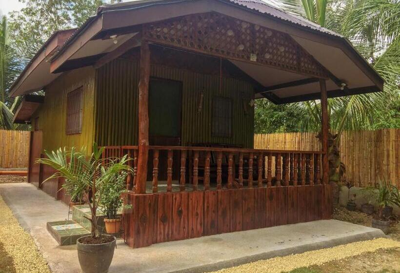 标准工作室, Pitaya Native Guest House