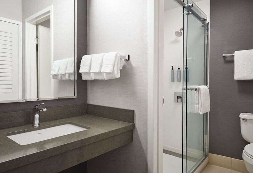 套房, Courtyard By Marriott St. Louis Downtown West