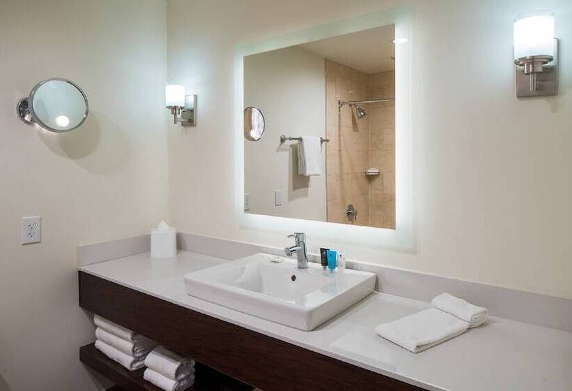 Standard-huone, Crowne Plaza Springfield Convention Center, An Ihg
