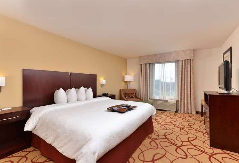 스탠다드 룸, Hampton Inn Odessa Trinity
