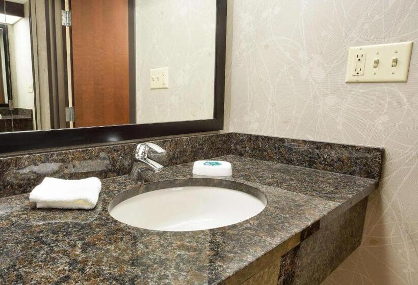 Superior-huone King-vuode, Drury Inn & Suites Greensboro