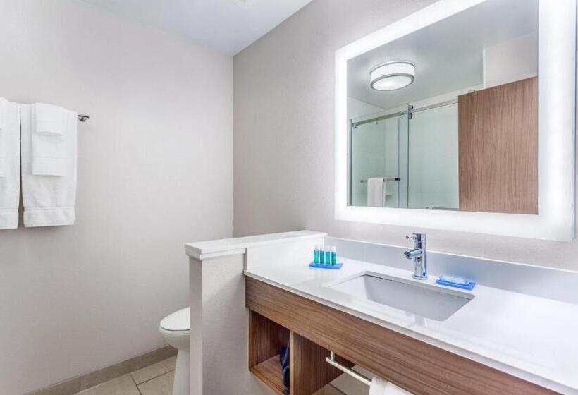 带大床的套房, Holiday Inn Express & Suites   Nashville Metrocenter Downtown, An Ihg