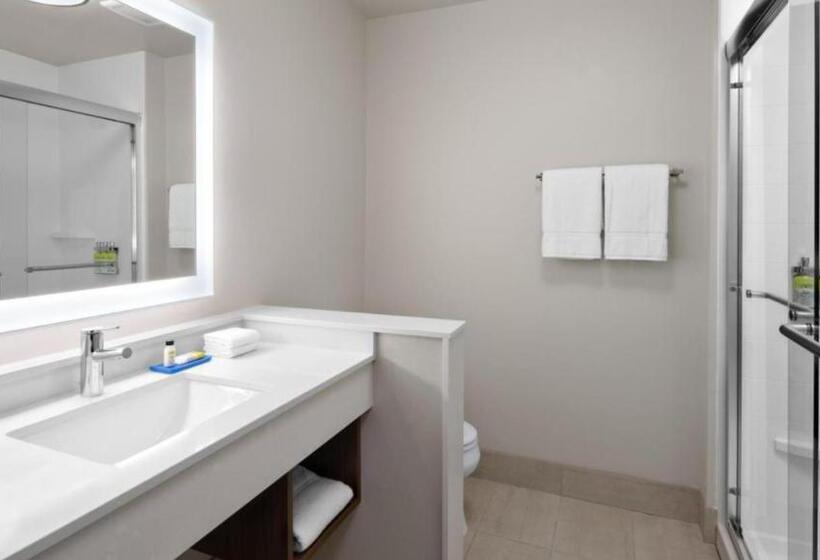 套房, Holiday Inn Express & Suites   Nashville Metrocenter Downtown, An Ihg