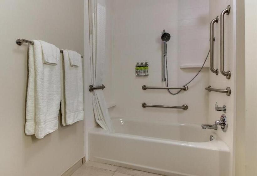 适合残疾人使用的标准间, Holiday Inn Express & Suites   Nashville Metrocenter Downtown, An Ihg