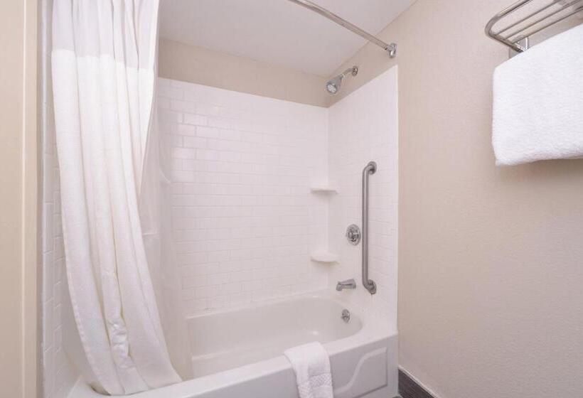 장애인을 위한 킹사이즈 침대 스탠다드 룸, Fairfield Inn & Suites Hattiesburg / University