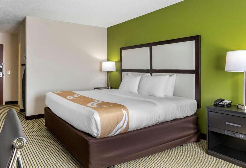 Стандартный Номер Кровать Кинг, Quality Inn & Suites