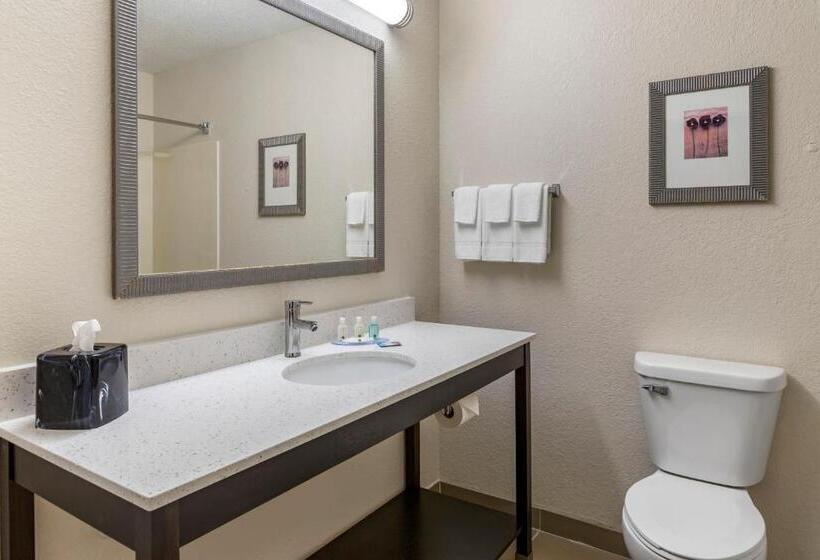 Номер Стандарт, Quality Inn & Suites