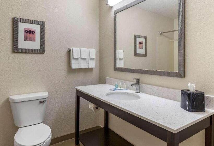 Люкс Кровать Кинг, Quality Inn & Suites