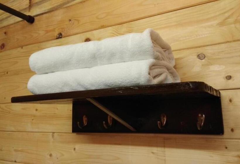 Standard-huone, Lazy Frog Guest House