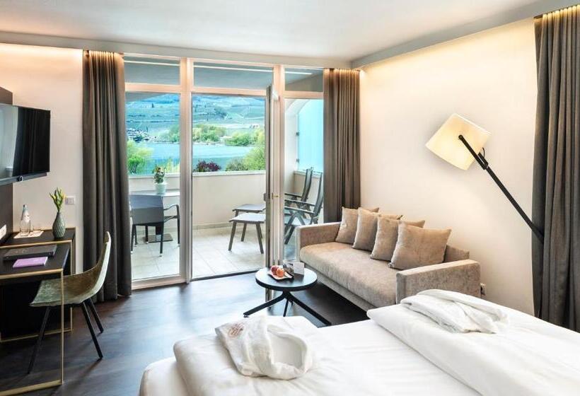 Номер Стандарт Вид на Озеро, Parc Hotel Am See