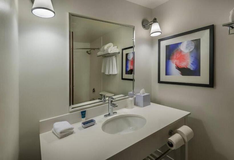 스탠다드 룸 킹사이즈 침대, Four Points By Sheraton Juneau