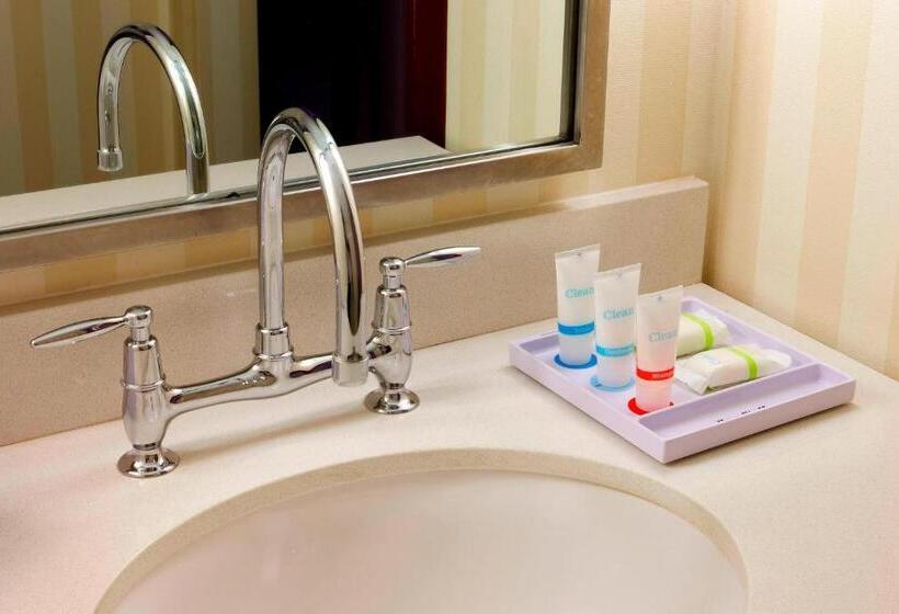 장애인을 위한 킹사이즈 침대 스탠다드 룸, Four Points By Sheraton Los Angeles International Airport