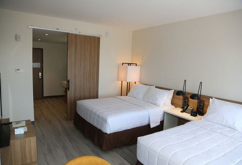 اتاق استاندارد با 2 تخت دوبل, Wyndham Garden North Bergen   Secaucus