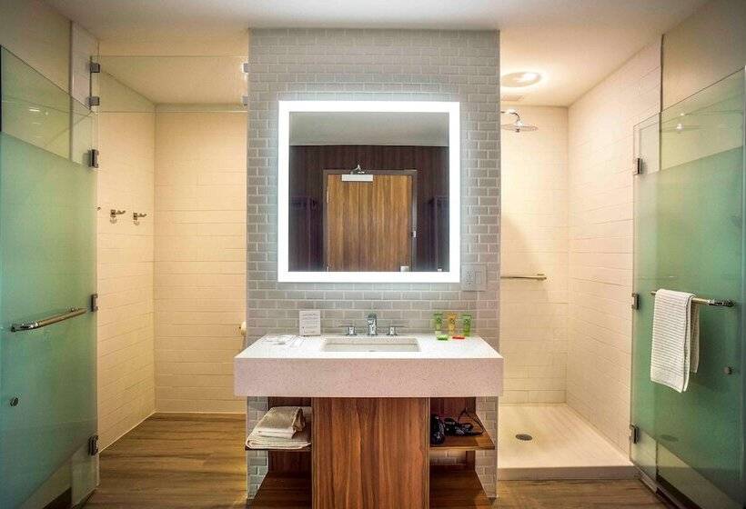 اتاق لوکس, Wyndham Garden North Bergen   Secaucus