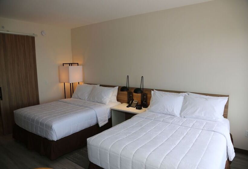 اتاق لوکس, Wyndham Garden North Bergen   Secaucus