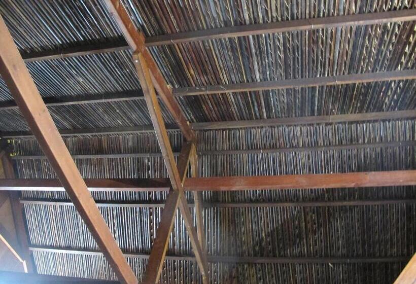 اتاق خانوادگی, Homestay Xóm Dừa Nước