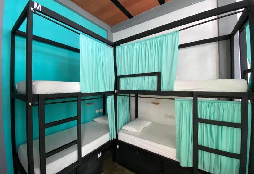 공동 객실, Imagine Hostel