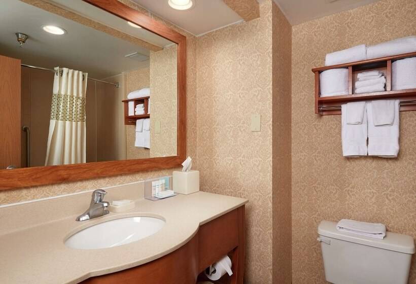 스탠다드 룸, Hampton Inn Franklin