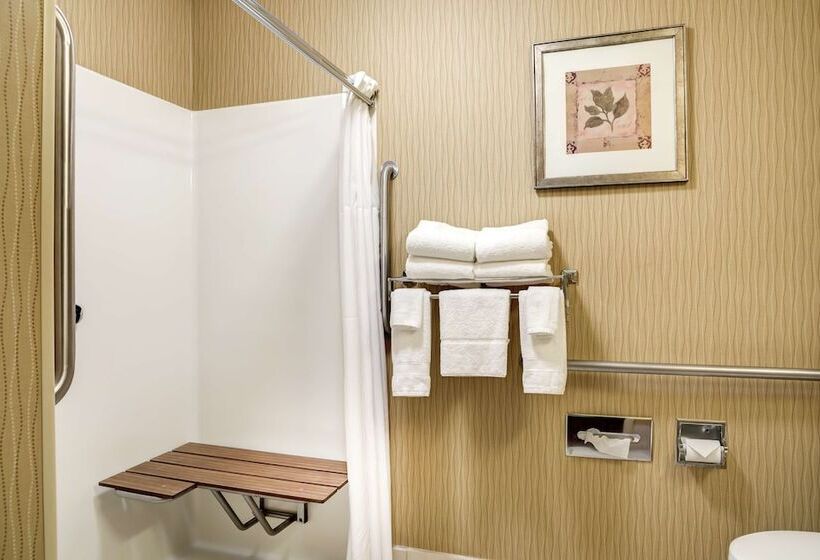 Номер Стандарт Адаптированный для Инвалидов, Hampton Inn St Joseph