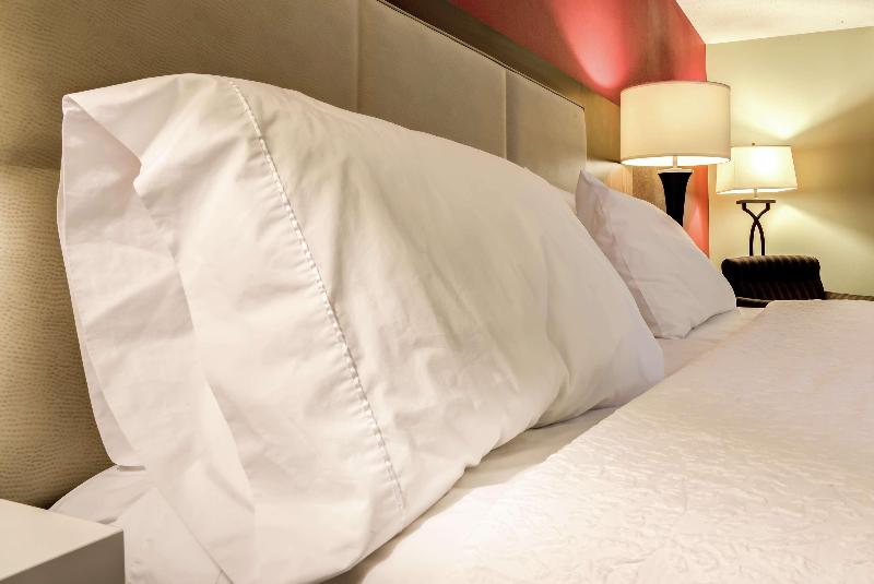 Стандартный Номер Кровать Кинг, Hampton Inn St Joseph