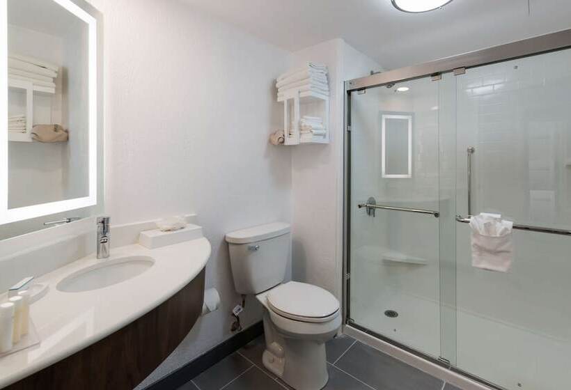 Люкс, Hampton Inn & Suites Chicago/hoffman Estates