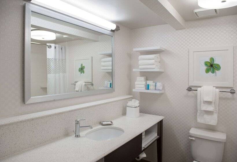 Стандартный Номер Кровать Кинг, Hampton Inn & Suites New Orleans Elmwood/clearview Pkway, La