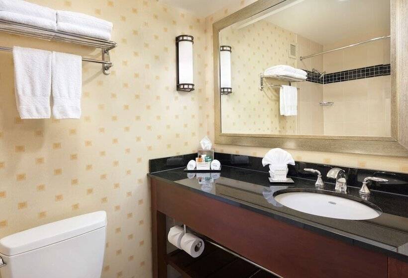 带2个双人床的标准工作室, Hilton Chicago O'Hare Airport