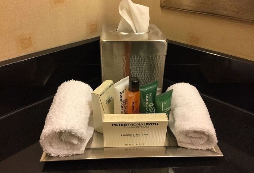 商务房间, Hilton Chicago O'Hare Airport