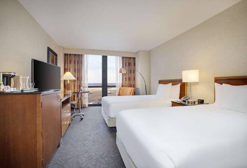 商务房间, Hilton Chicago O'Hare Airport
