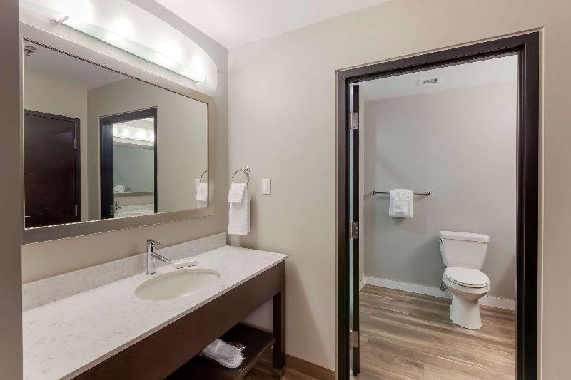 Deluxe Szoba Kind Size Bed, Holiday Inn Express & Suites Springfield, An Ihg