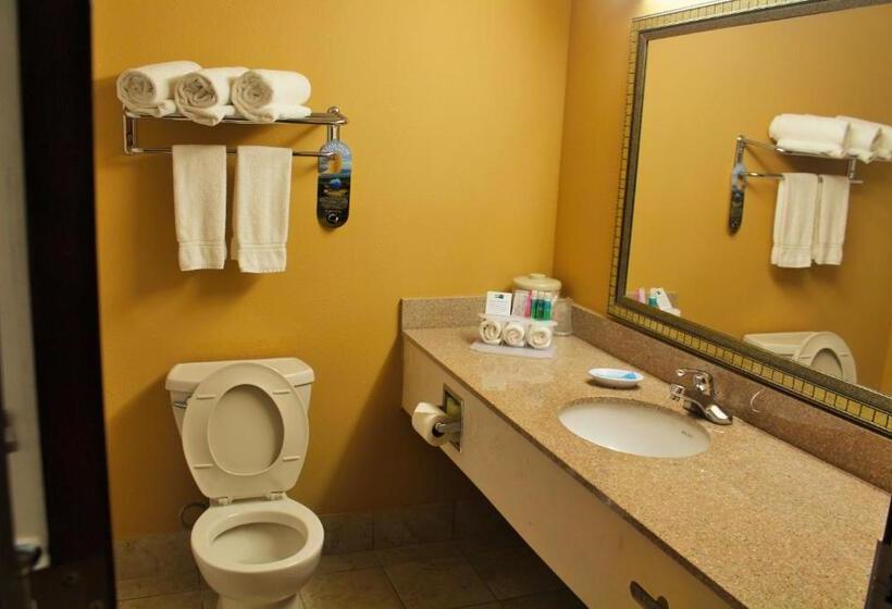 اتاق استاندارد با تخت بزرگ, Lexington Inn And Suites