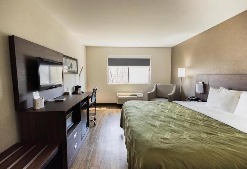 스탠다드 룸 킹사이즈 침대, Quality Inn